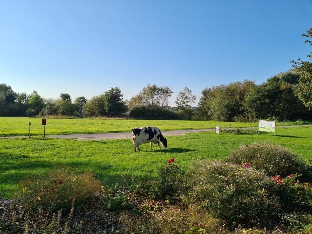 Schwanewede Ferienwohnung Sonnenaufgangsgenuss Harriersand מראה חיצוני תמונה
